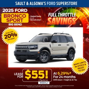 MF 25BS 55 FORD MARCH doorcrasher 1200 1200 copy